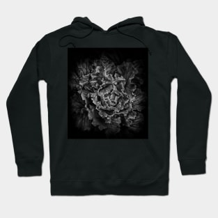 Backyard Flowers In Black And White 43 Hoodie